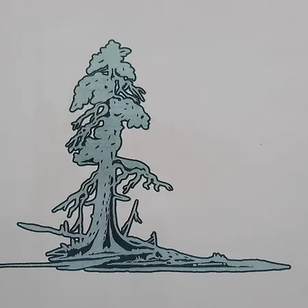 Old Pine * Rovaniemi