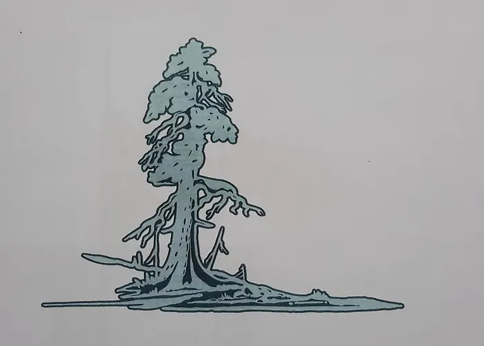 Old Pine * Ροβανιέμι